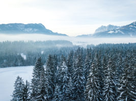 Kaiserwinkl Langlaufurlaub